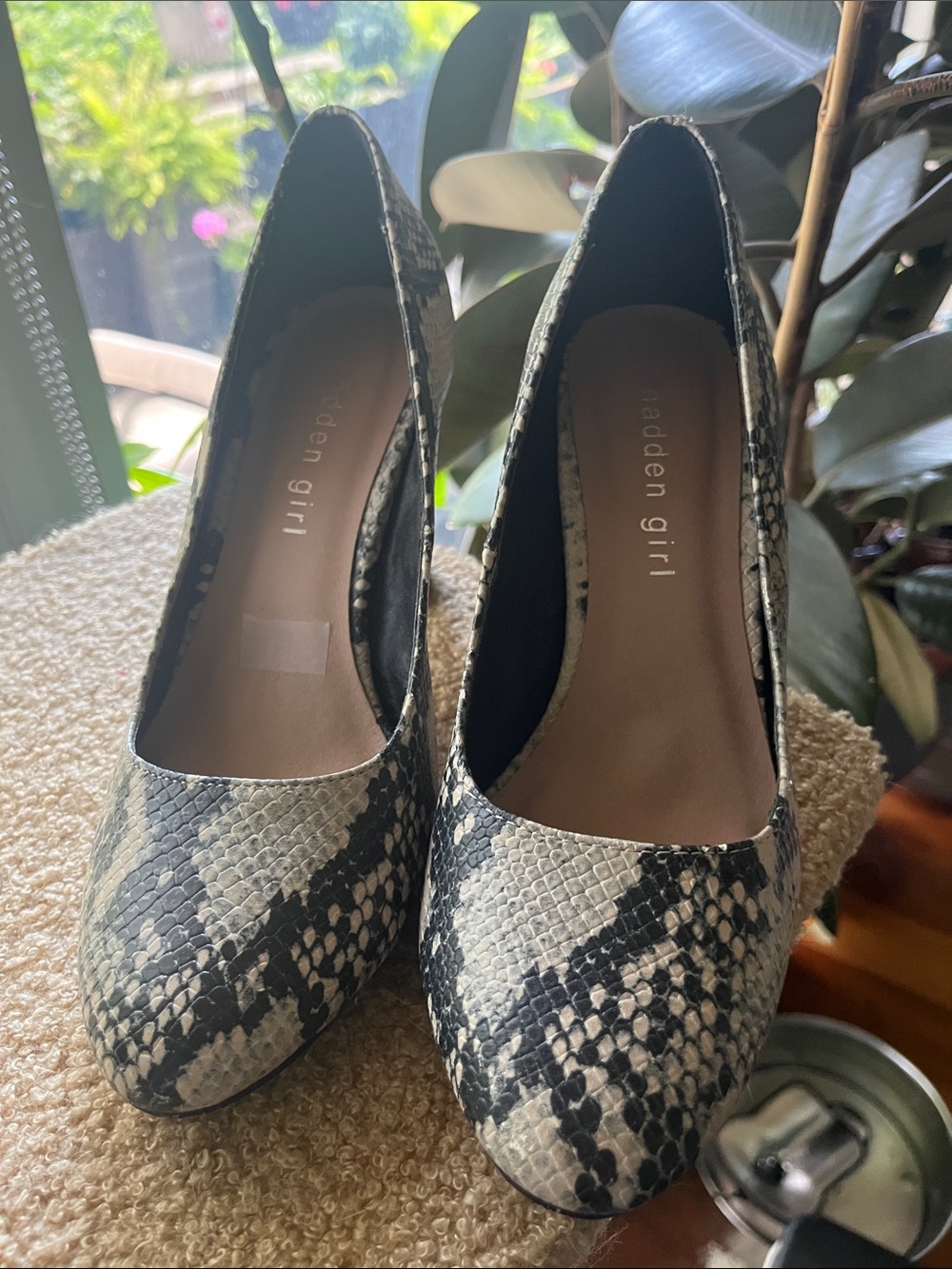 Madden Girl Women's Snake Print Pumps (size 7.5)